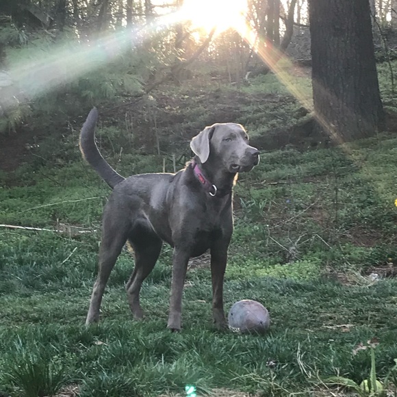 Meet your Posher, Kim - Picture 6 of 8